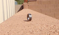 2004 Tails size 5